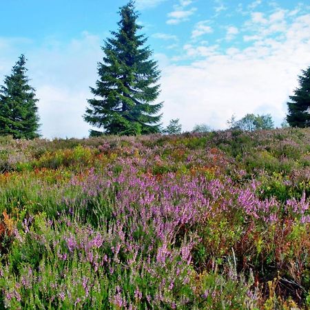 Ferienhaus Winterberg Eksteriør bilde
